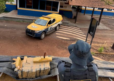 PMR apreendeu 20 kg de maconha escondida em carga de soja na MS - 386