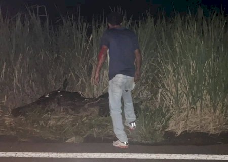 Motociclista sofre queda de moto na MS-395, entre Bataguassu e Anaurilândia