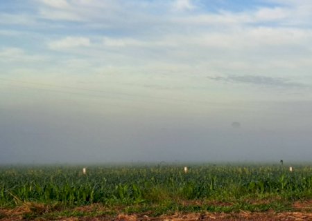 Inverno pode ter temperaturas abaixo de 0ºC e geada em MS