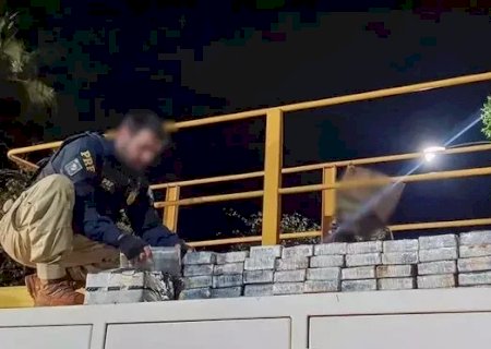 Motorista é preso com 440 quilos de cocaína escondidos em caminhão-tanque