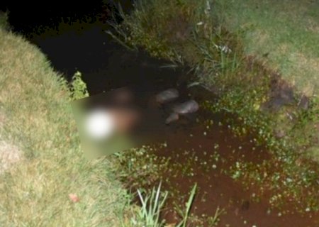 Menor é morto a tiros em briga de facções,  poucas horas após a justiça colocar em liberdade na cidade de Maracajú