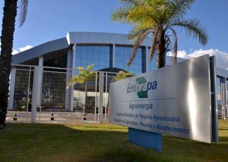 Quais os riscos dos governos privatizar o BB e a Embrapa?