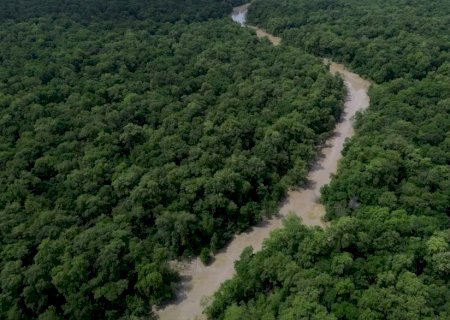 Desmatamento cai 41,8% na Amazônia e 23,8% no Cerrado em um ano